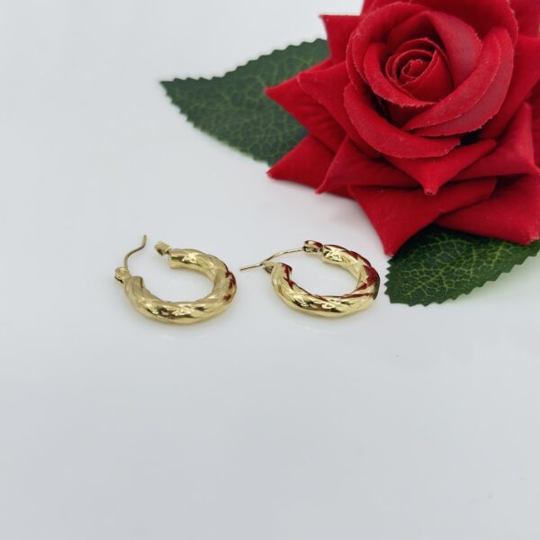 Stainless Steel Gold Plated  Hoops Earring, Product Code: D-5108