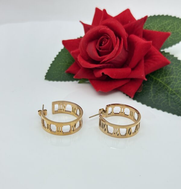 Stainless Steel Rosegold Plated Hoops Earring, Product Code: D-5116