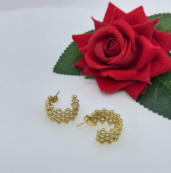 Stainless Steel Gold Plated Hoops Earring, Product Code: D-5117