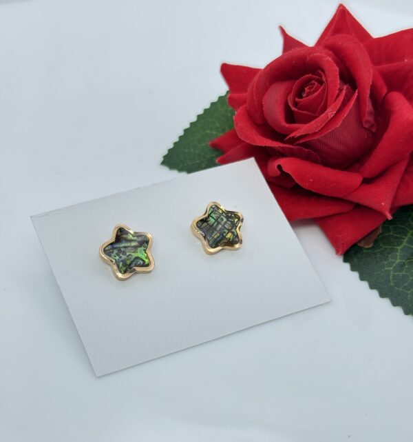 Stainless Steel Rosegold Plated Star Shaped Abalone Stud Earring, Product Code: D-5121