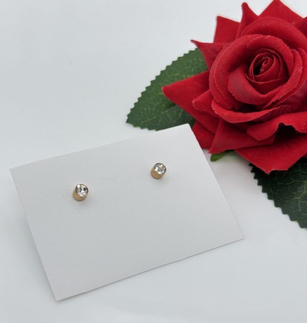 Stainless Steel Rosegold Plated Stud Earring, Product Code: D-5143