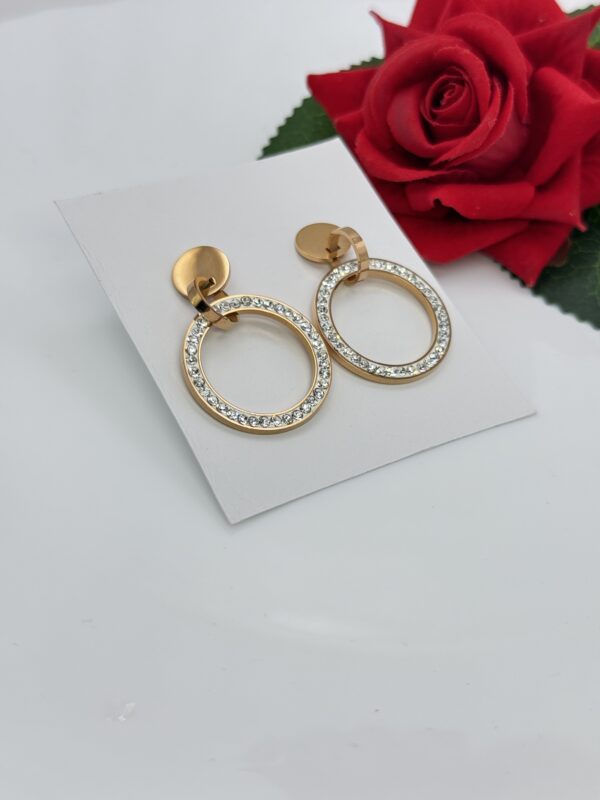 Stainless Steel Rosegold Plated Shiny Hoops Earring, Product Code: D-5069