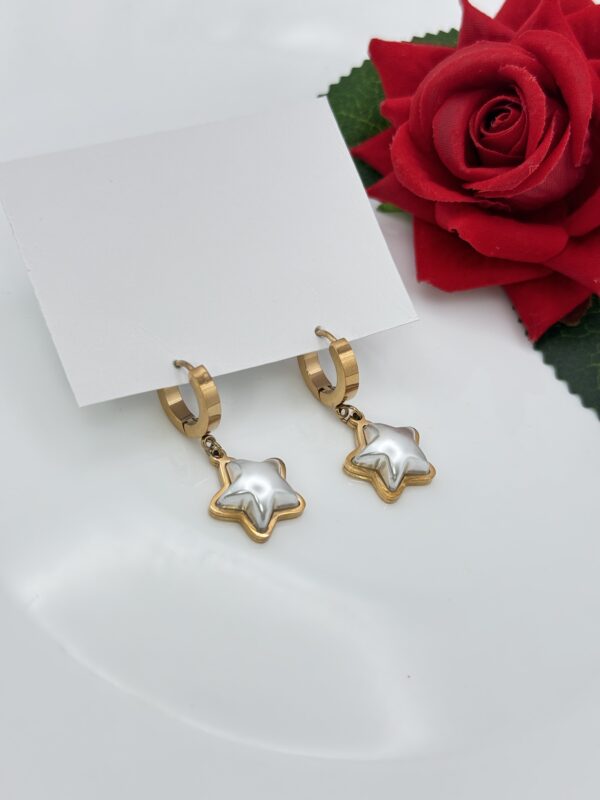 Stainless Steel Rosegold Plated Puff Star Shaped Hoops Earring, Product Code: D-5072