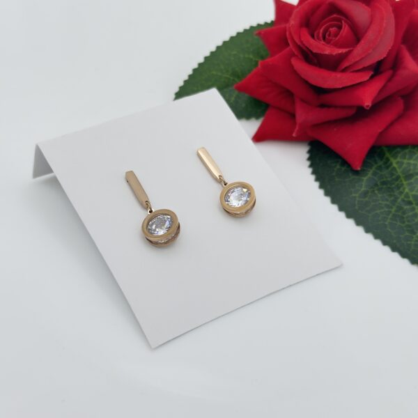 Stainless Steel Rosegold Plated Round Shaped Drop Earring, Product Code: D-5075