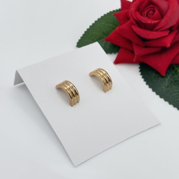 Stainless Steel Rosegold Plated Hoops Earring, Product Code: D-5076