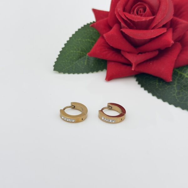 Stainless Steel Rosegold Plated Hoops Earring, Product Code: D-5082