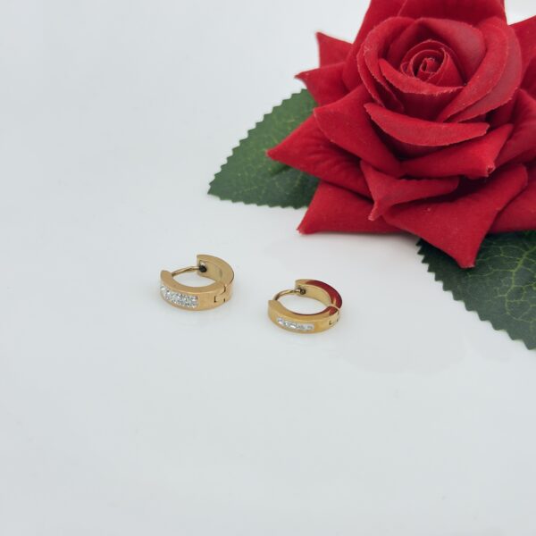 Stainless Steel Rosegold Plated Hoops Earring, Product Code: D-5087