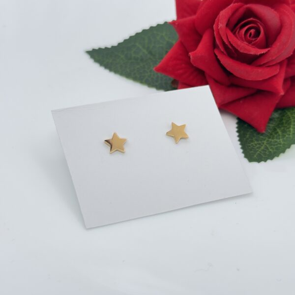 Stainless Steel Rosegold Plated Star Shaped Stud Earring, Product Code: D-5092