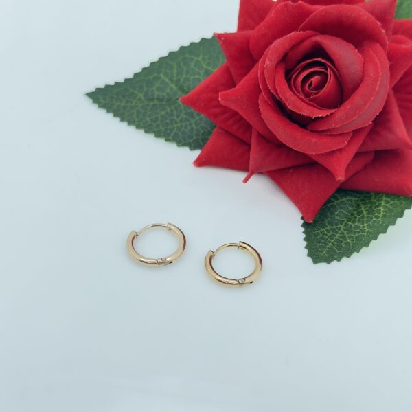 Stainlees Steel  Rose Gold Plated Stud Earring, Product Code: D-5097